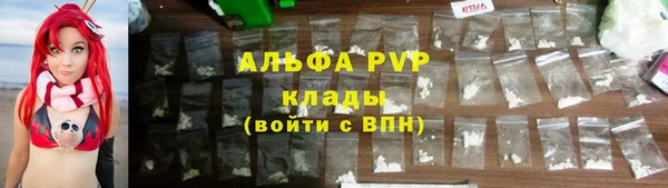 спиды Новокубанск