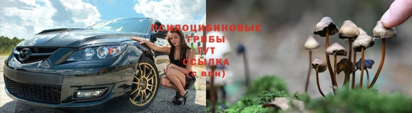спиды Новокубанск