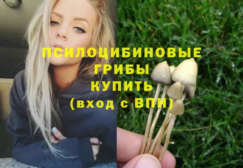 что такое наркотик  Сорск  Галлюциногенные грибы Magic Shrooms 