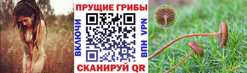 Галлюциногенные грибы прущие грибы  гидра рабочий сайт  Сорск 